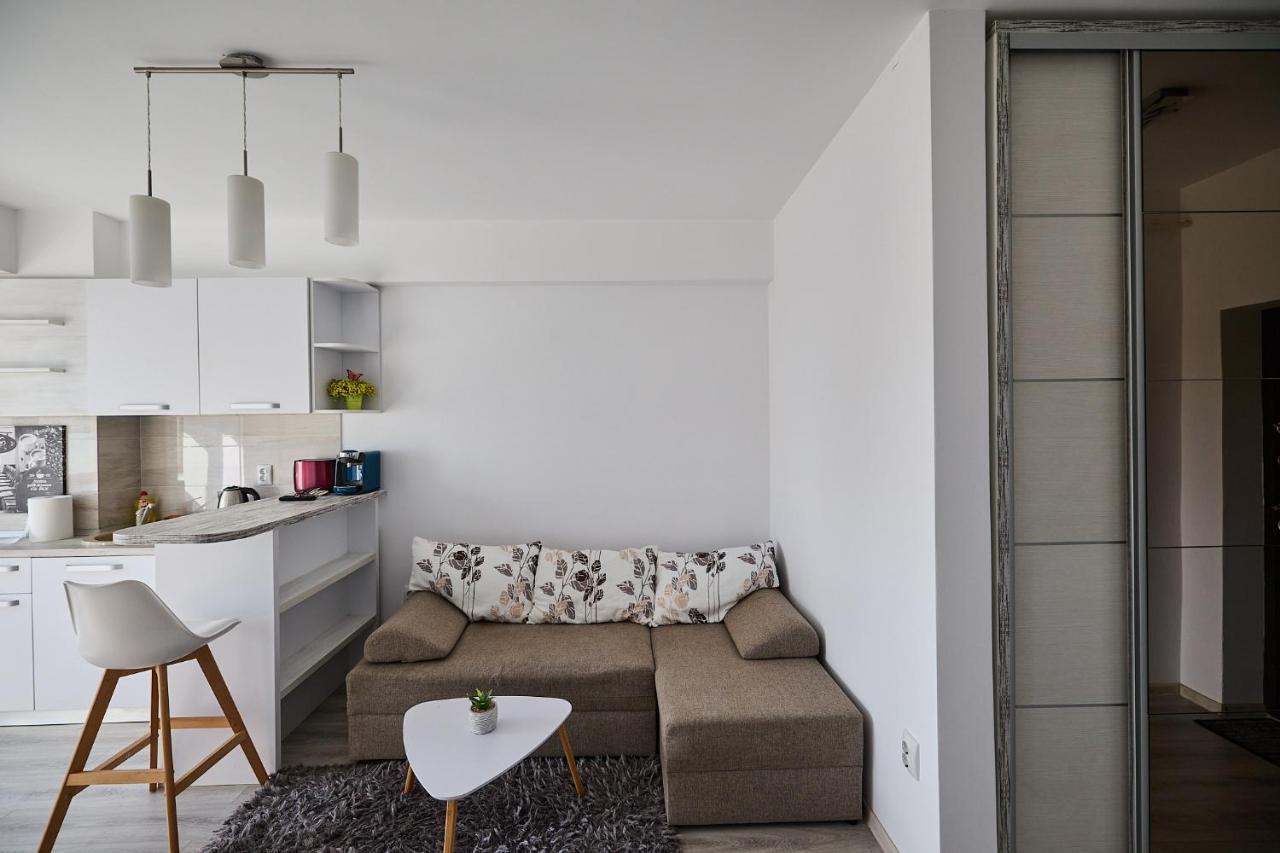 Alessandro Home 9 Luxury Centru Palas Mall Iasi Moldovei 30 Екстериор снимка